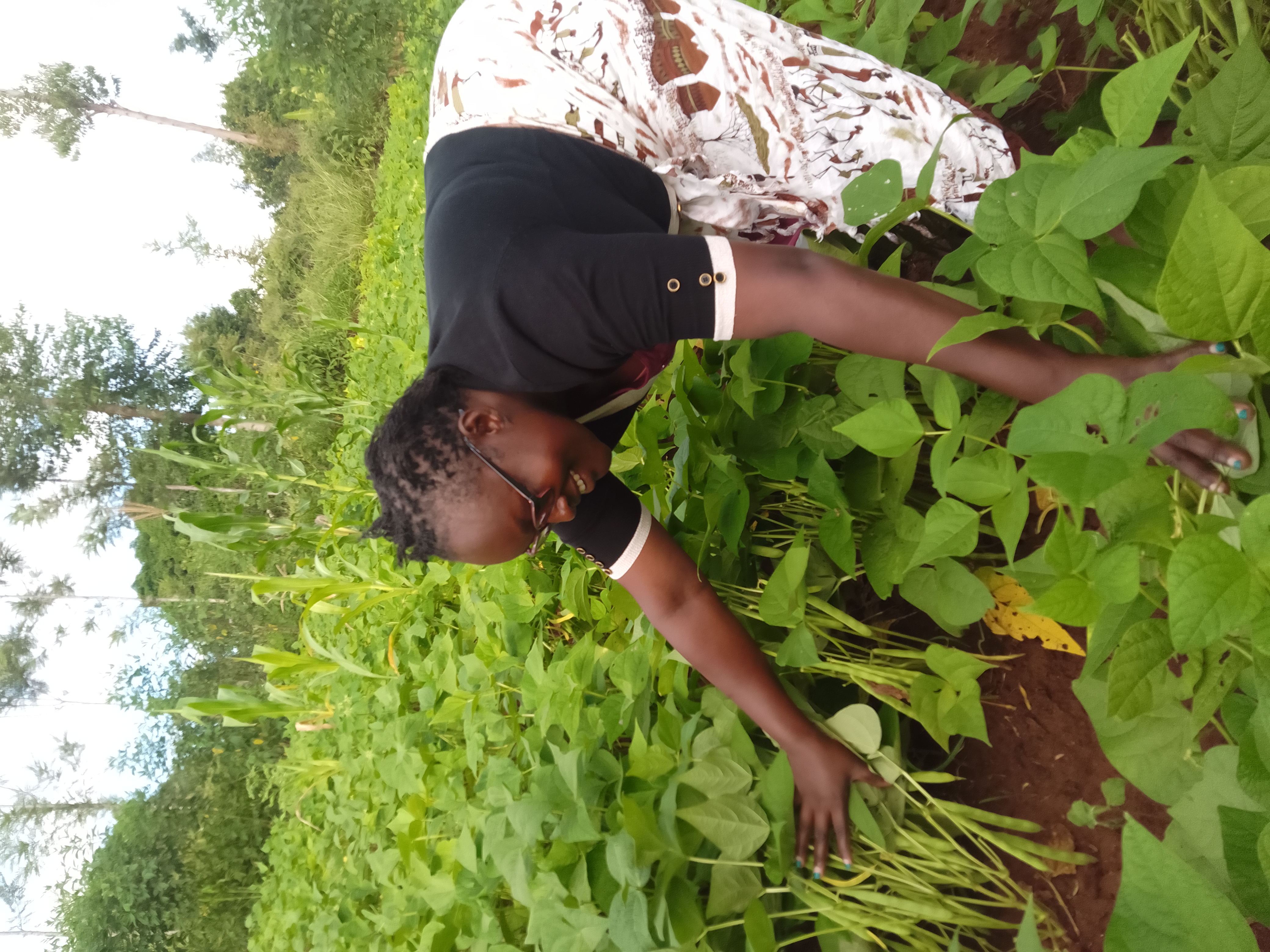 Farming Consultation